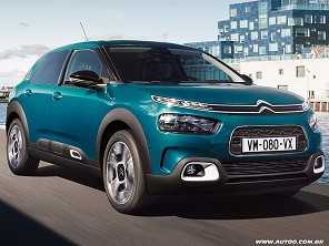 C4 Cactus