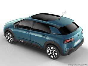 C4 Cactus