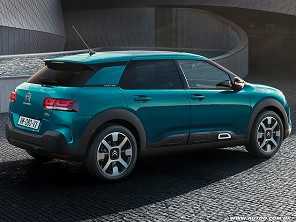 C4 Cactus