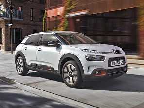 C4 Cactus