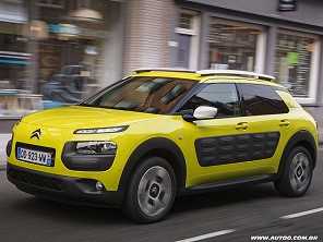 C4 Cactus