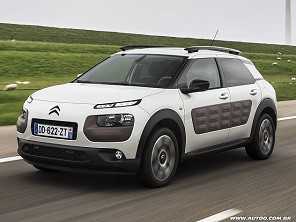 C4 Cactus