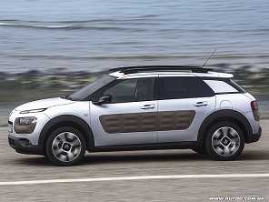 C4 Cactus