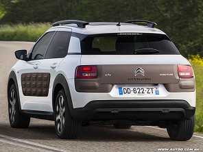 C4 Cactus