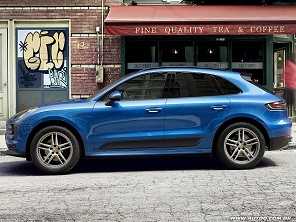 Macan