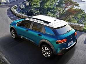 C4 Cactus