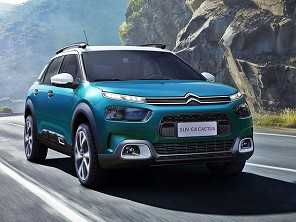 C4 Cactus