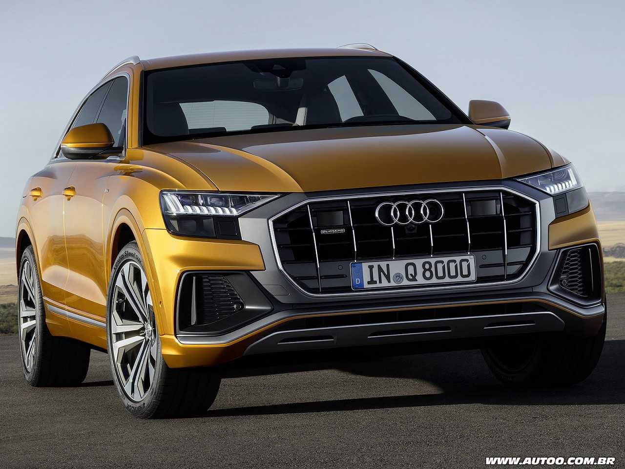 Audi Q8 2019