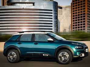 C4 Cactus