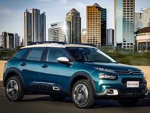 C4 Cactus