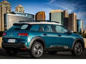 C4 Cactus