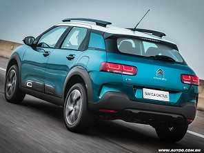 C4 Cactus