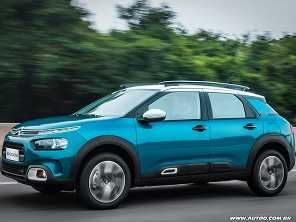 C4 Cactus