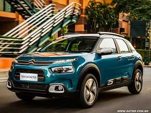 C4 Cactus