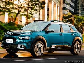 C4 Cactus