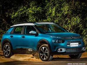 C4 Cactus