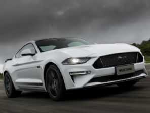 Mustang