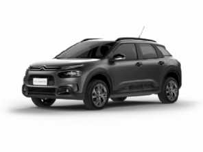 C4 Cactus