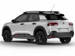 C4 Cactus