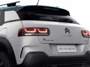 C4 Cactus