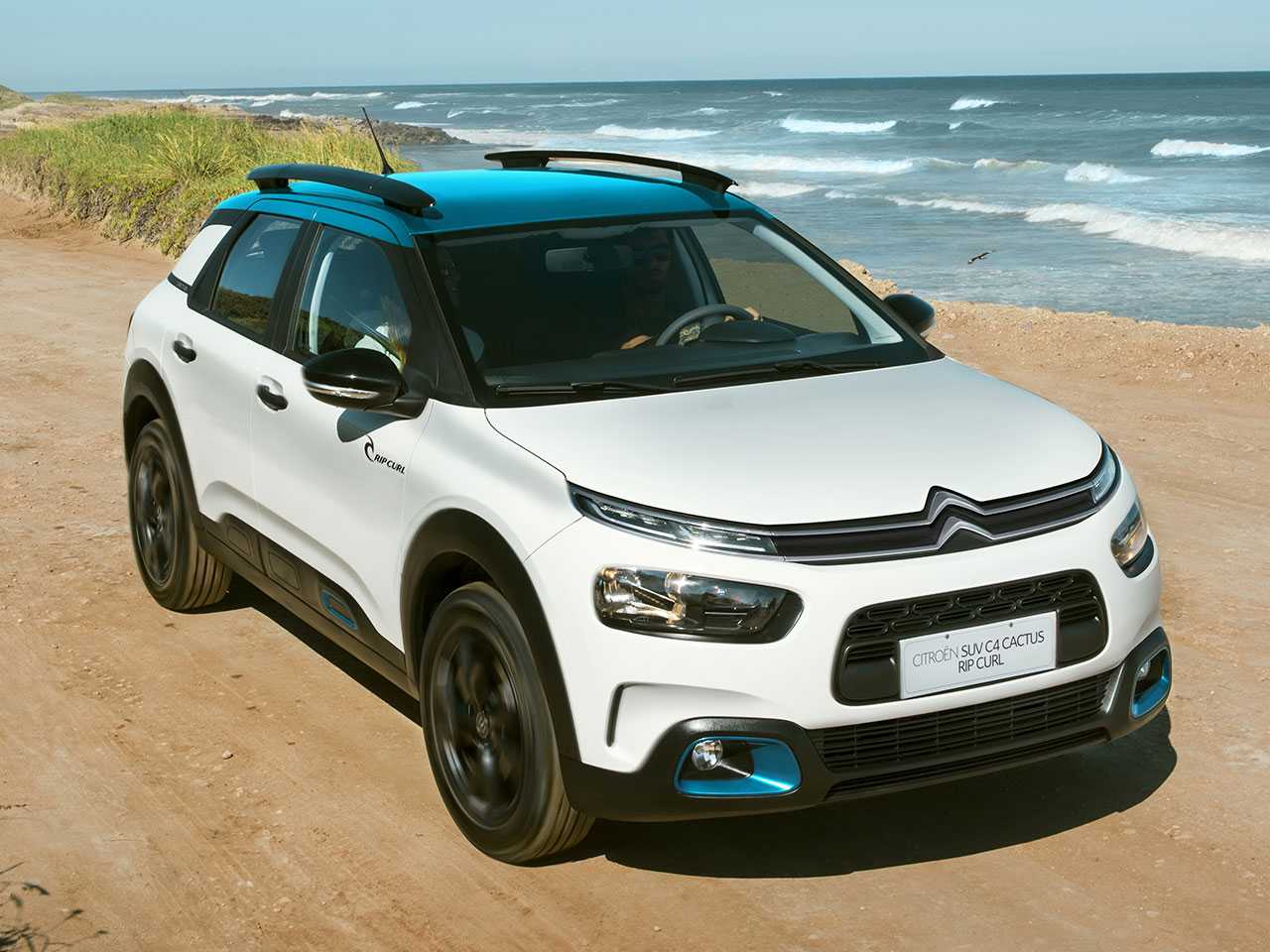 Citron C4 Cactus 2022