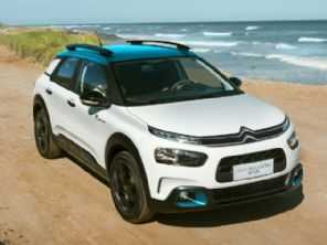 C4 Cactus