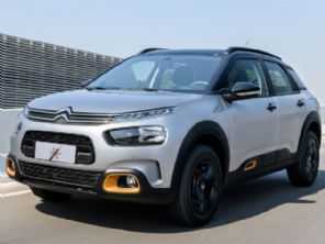 C4 Cactus